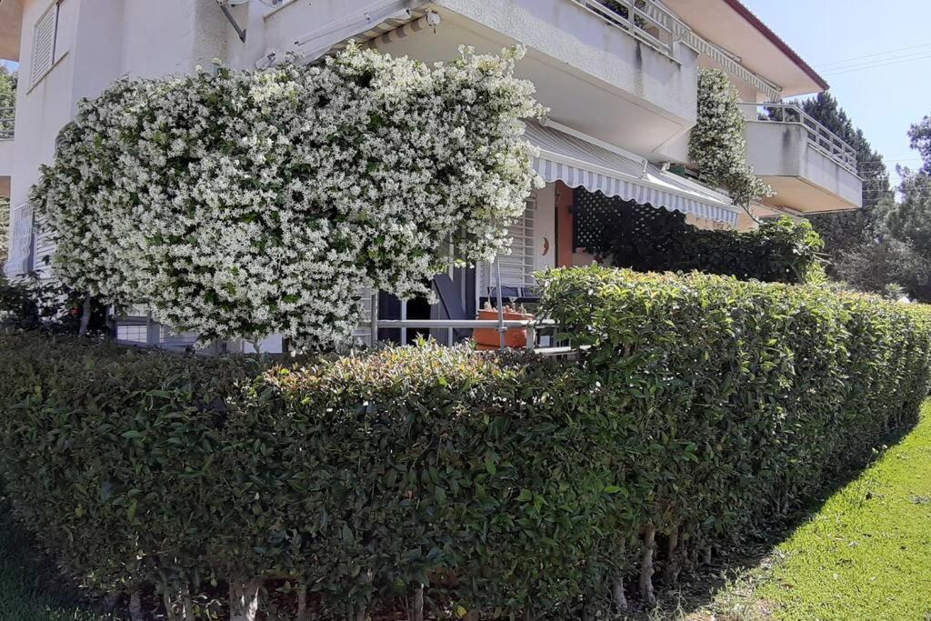 Kleo House Kalives Polygyros Halkidiki Villa Kalyves Polygyrou Eksteriør bilde